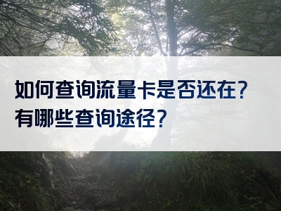 如何查询流量卡是否还在？有哪些查询途径？