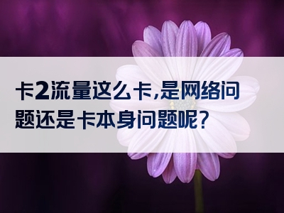 卡2流量这么卡，是网络问题还是卡本身问题呢？