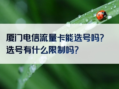厦门电信流量卡能选号吗？选号有什么限制吗？