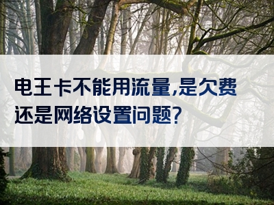 电王卡不能用流量，是欠费还是网络设置问题？