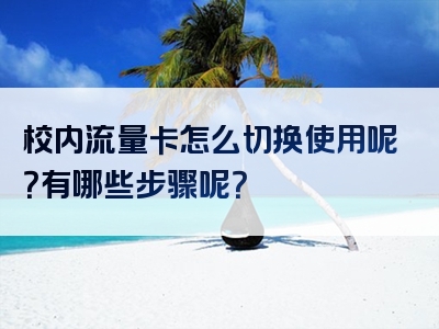 校内流量卡怎么切换使用呢？有哪些步骤呢？