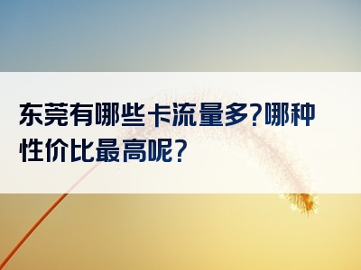 东莞有哪些卡流量多？哪种性价比最高呢？