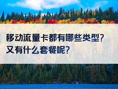 移动流量卡都有哪些类型？又有什么套餐呢？