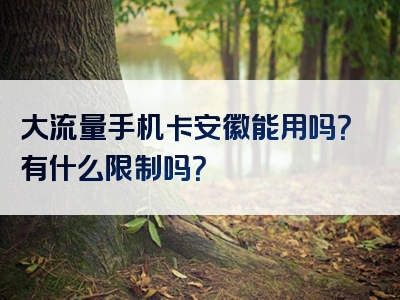 大流量手机卡安徽能用吗？有什么限制吗？
