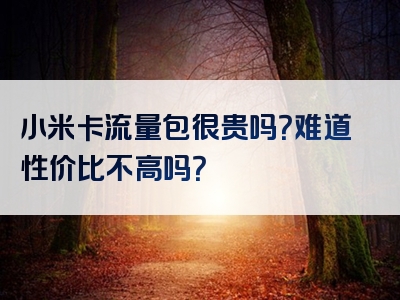小米卡流量包很贵吗？难道性价比不高吗？