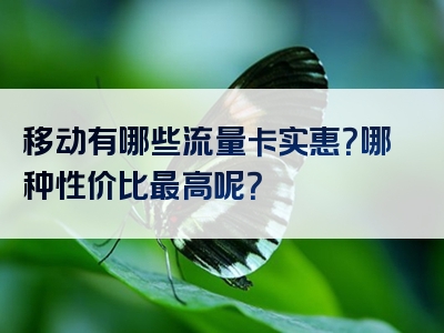 移动有哪些流量卡实惠？哪种性价比最高呢？
