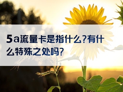 5a流量卡是指什么？有什么特殊之处吗？