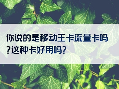 你说的是移动王卡流量卡吗？这种卡好用吗？