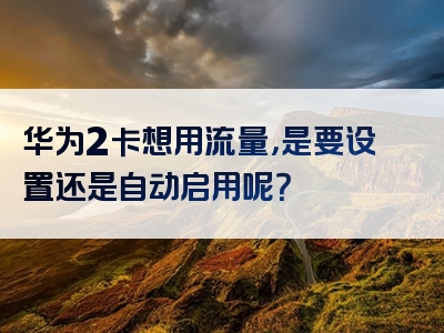 华为2卡想用流量，是要设置还是自动启用呢？