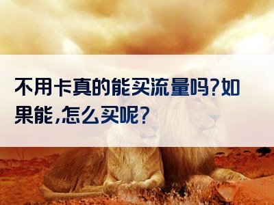 不用卡真的能买流量吗？如果能，怎么买呢？