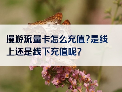 漫游流量卡怎么充值？是线上还是线下充值呢？