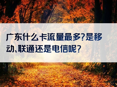 广东什么卡流量最多？是移动、联通还是电信呢？
