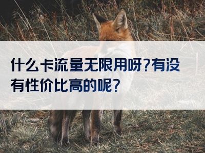 什么卡流量无限用呀？有没有性价比高的呢？