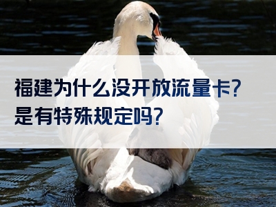 福建为什么没开放流量卡？是有特殊规定吗？