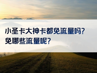 小圣卡大神卡都免流量吗？免哪些流量呢？