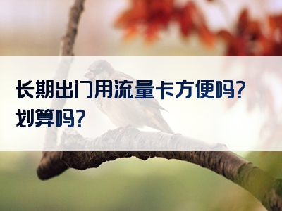 长期出门用流量卡方便吗？划算吗？