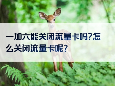 一加六能关闭流量卡吗？怎么关闭流量卡呢？