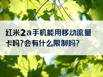 红米2a手机能用移动流量卡吗？会有什么限制吗？