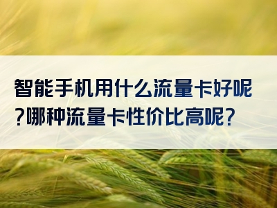 智能手机用什么流量卡好呢？哪种流量卡性价比高呢？