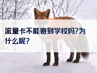 流量卡不能寄到学校吗？为什么呢？