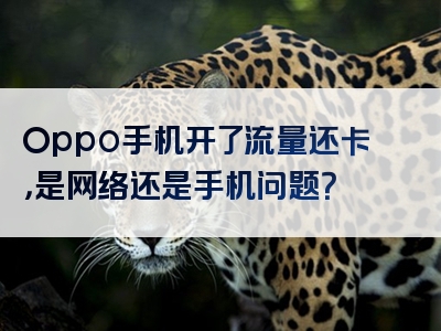 Oppo手机开了流量还卡，是网络还是手机问题？
