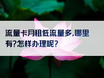 流量卡月租低流量多，哪里有？怎样办理呢？