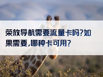 荣放导航需要流量卡吗？如果需要，哪种卡可用？