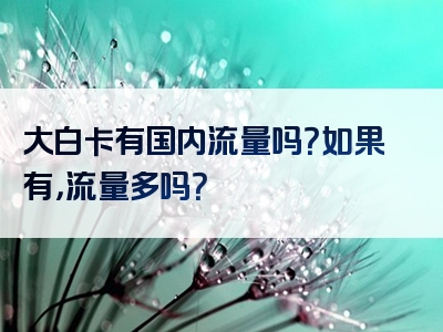 大白卡有国内流量吗？如果有，流量多吗？