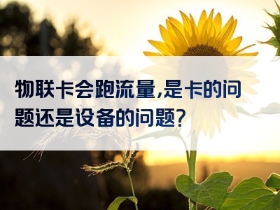 物联卡会跑流量，是卡的问题还是设备的问题？
