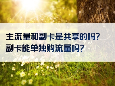 主流量和副卡是共享的吗？副卡能单独购流量吗？