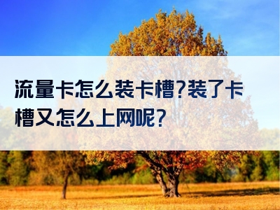 流量卡怎么装卡槽？装了卡槽又怎么上网呢？