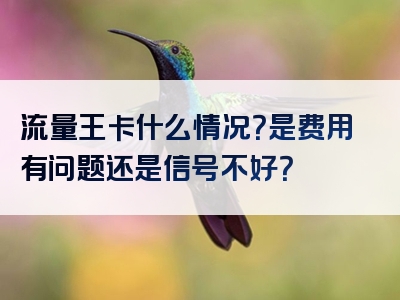 流量王卡什么情况？是费用有问题还是信号不好？