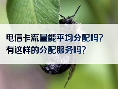 电信卡流量能平均分配吗？有这样的分配服务吗？