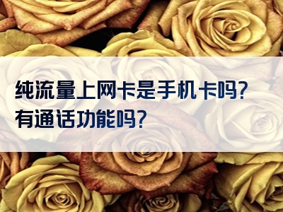 纯流量上网卡是手机卡吗？有通话功能吗？