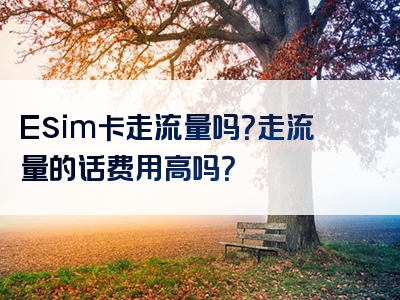 Esim卡走流量吗？走流量的话费用高吗？