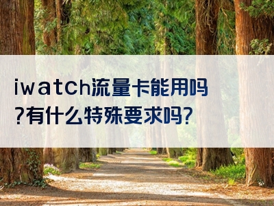 iwatch流量卡能用吗？有什么特殊要求吗？