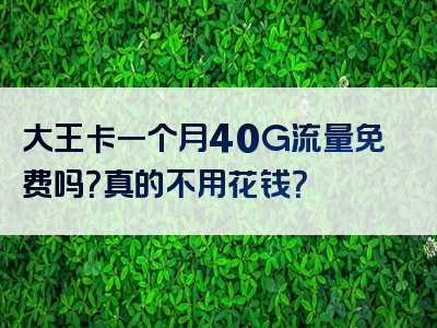 大王卡一个月40G流量免费吗？真的不用花钱？