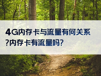 4G内存卡与流量有何关系？内存卡有流量吗？