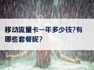 移动流量卡一年多少钱？有哪些套餐呢？