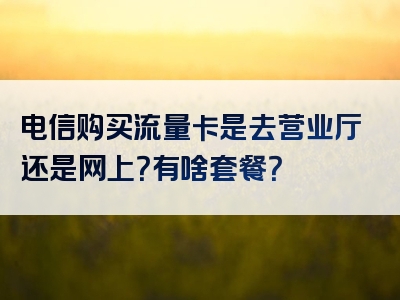 电信购买流量卡是去营业厅还是网上？有啥套餐？