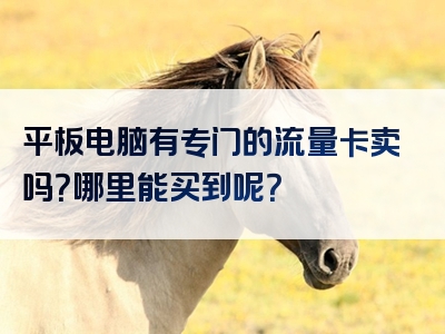 平板电脑有专门的流量卡卖吗？哪里能买到呢？