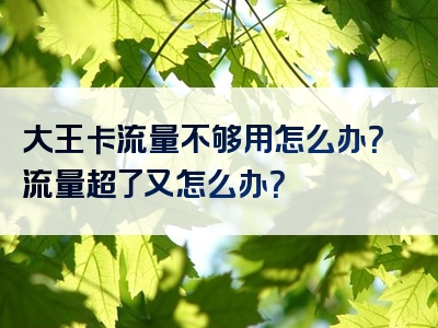 大王卡流量不够用怎么办？流量超了又怎么办？