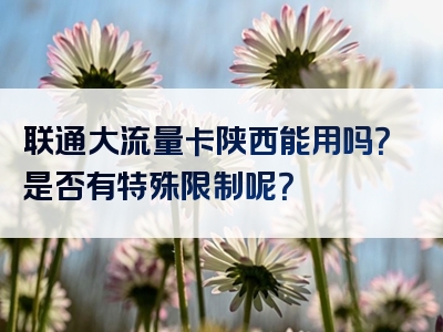 联通大流量卡陕西能用吗？是否有特殊限制呢？
