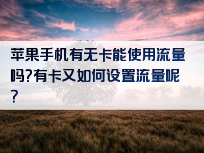 苹果手机有无卡能使用流量吗？有卡又如何设置流量呢？