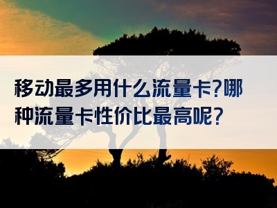 移动最多用什么流量卡？哪种流量卡性价比最高呢？