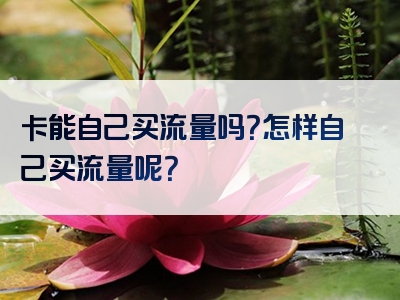 卡能自己买流量吗？怎样自己买流量呢？