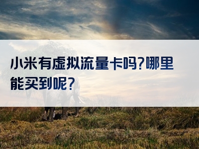 小米有虚拟流量卡吗？哪里能买到呢？