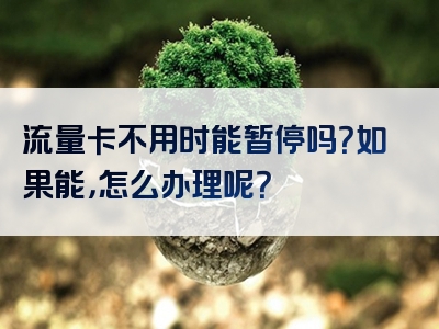 流量卡不用时能暂停吗？如果能，怎么办理呢？