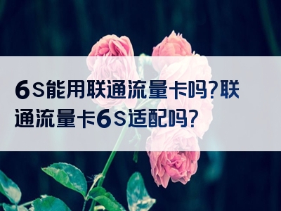 6s能用联通流量卡吗？联通流量卡6s适配吗？