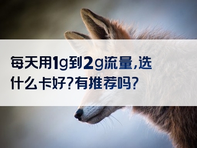 每天用1g到2g流量，选什么卡好？有推荐吗？
